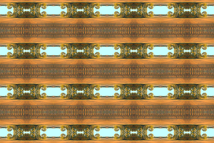 Charlie Schreiner - Cornfield (Mosaic)