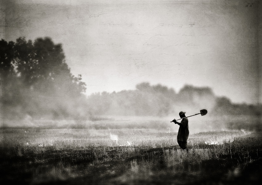 Will Jacks - Burning the Fields