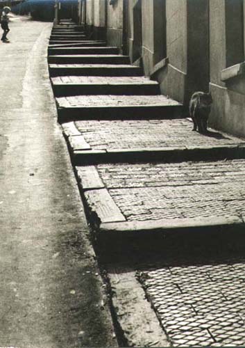 Wolfgang Suschitzky - Dartmouth, England