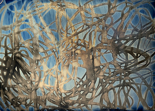 Charlie Schreiner - Fettuccine