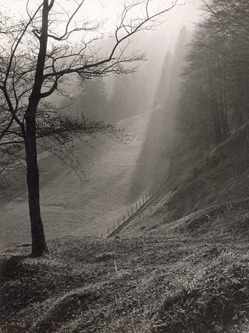 Max Baur - Morning Light, Germany