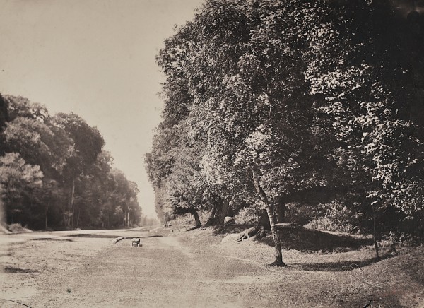 This rare Gustave Le Gray was in the closet in Vintage Works' booth. It was used as a study for a painting by Claude Monet. This rare Gustave Le Gray was in the closet in Vintage Works' booth. It was used as a study for a painting by Claude Monet.